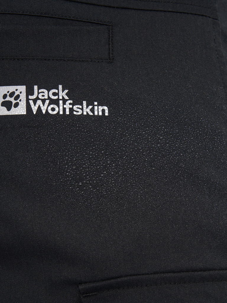 Брюки мужские Jack Wolfskin Arctic Road