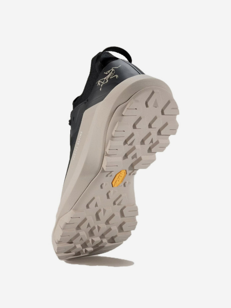 Кроссовки мужские Arc'teryx Vertex Alpine