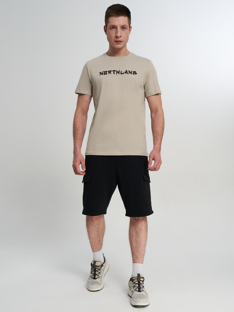 Футболка мужская Northland