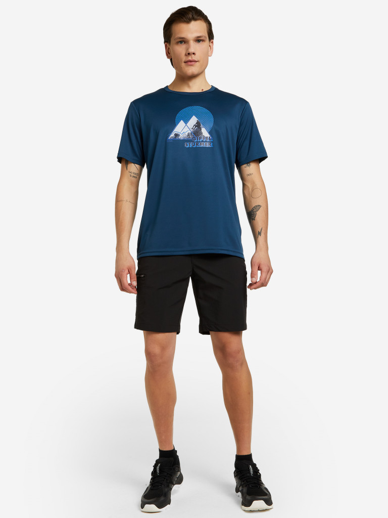 Шорты мужские Regatta Xert III