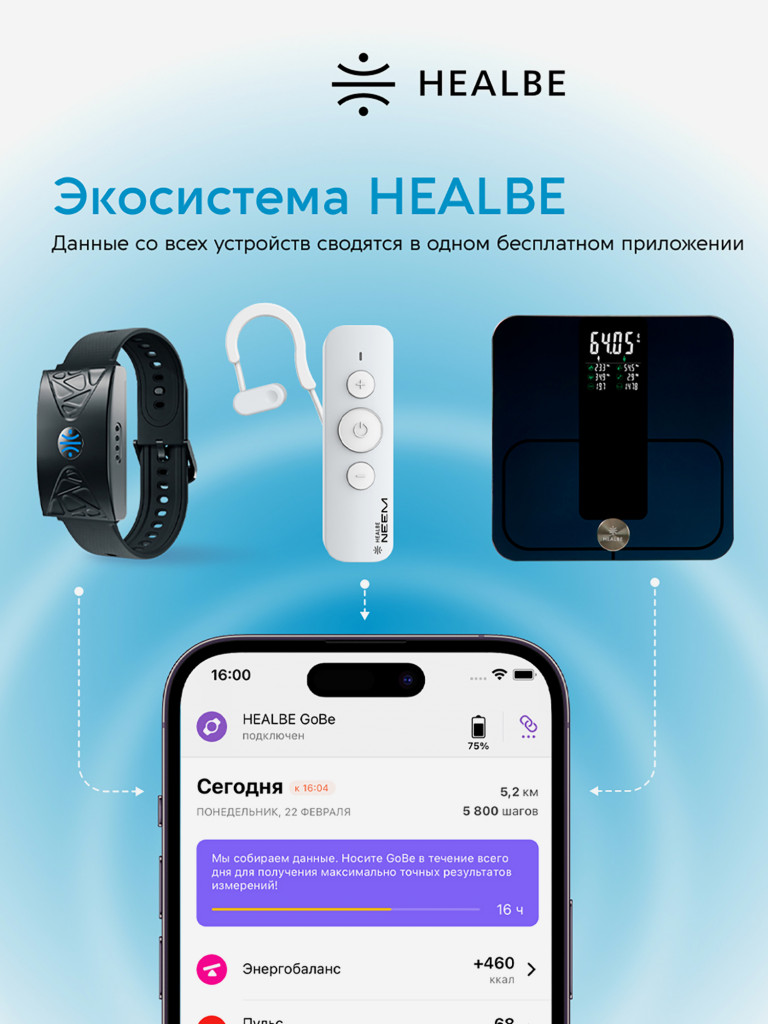 Комплект HEALBE Optimum Control 2