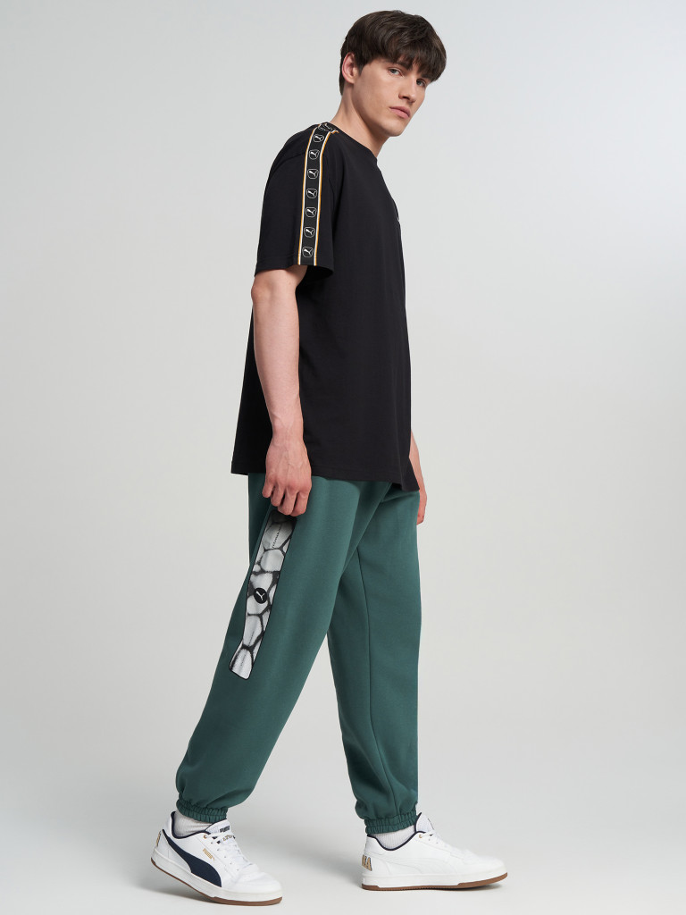 Брюки мужские PUMA Sport Street