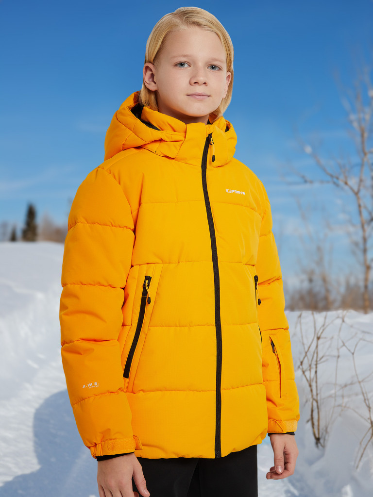 Пуховик для мальчиков IcePeak Louin