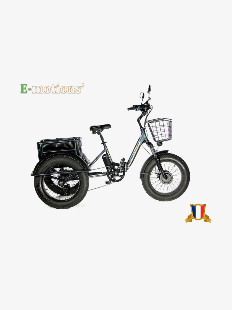 Трехколесный электровелосипед E-motions' PANDA 750W