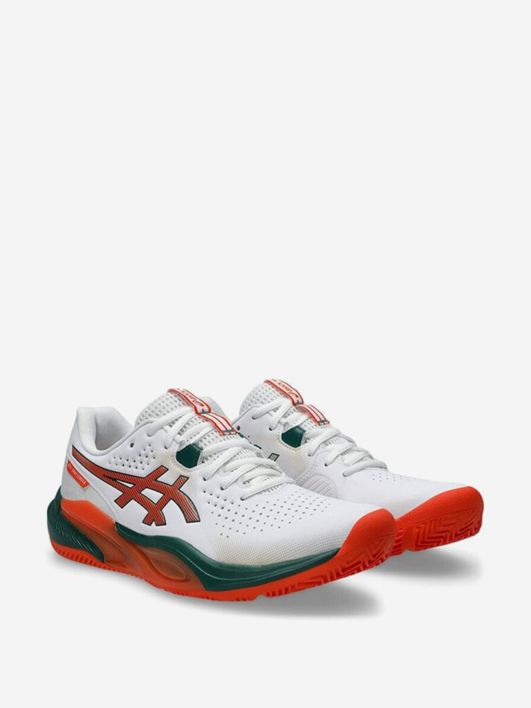 Кроссовки мужские ASICS Gel-Challenger 15