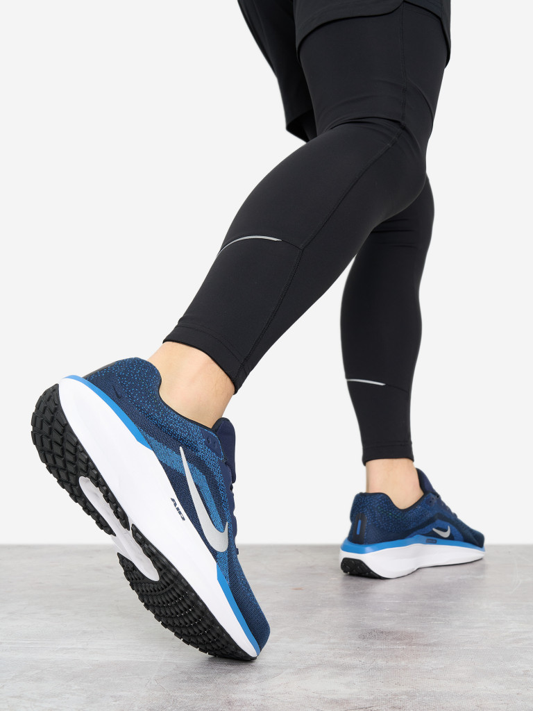 Кроссовки мужские Nike Winflo 11