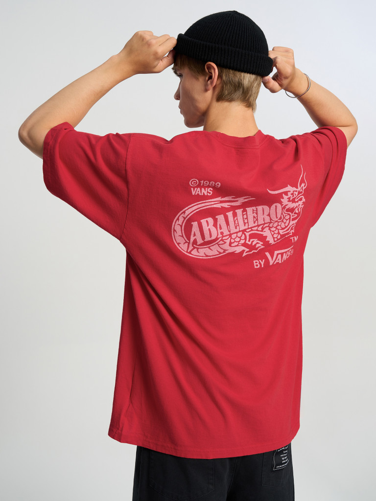 Футболка мужская Vans Caballero