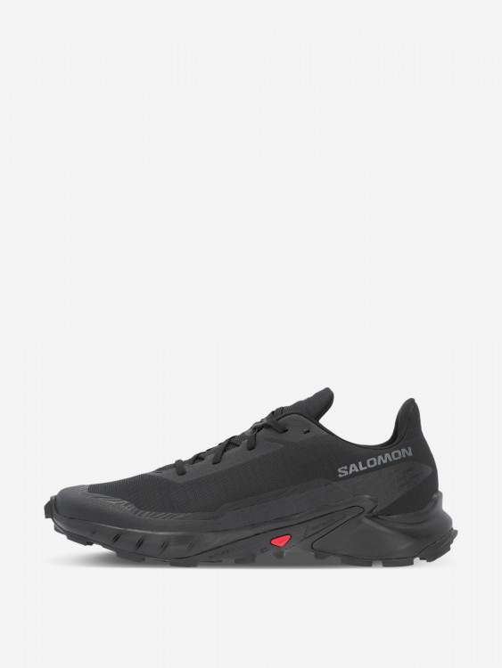 Кроссовки мужские Salomon Alphacross 5
