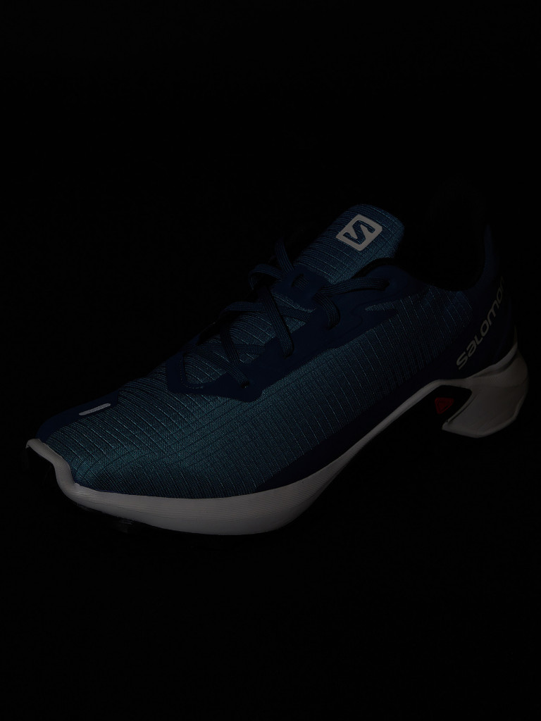 Кроссовки мужские Salomon Alphacross 3