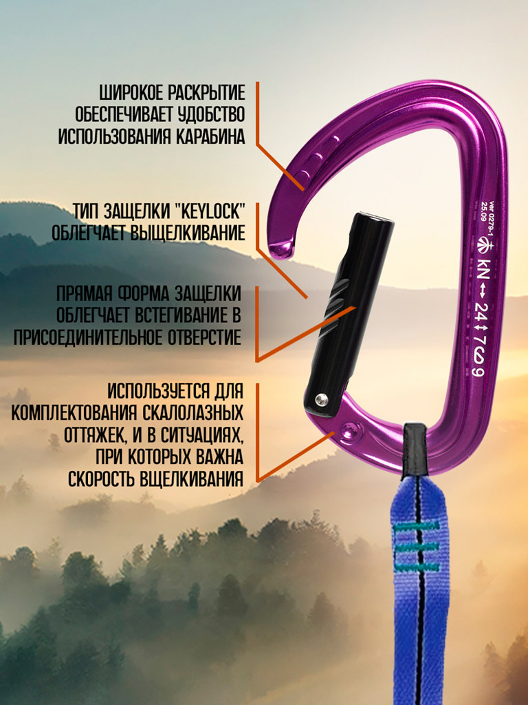 Карабин скалолазный с прямой защелкой фиолетовый. Вертикаль