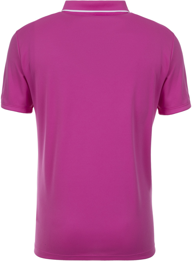 Поло мужское Nike Dry
