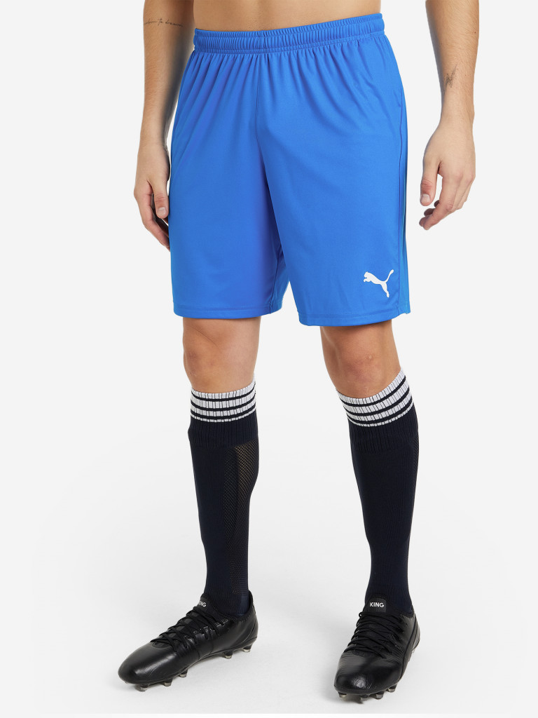 Puma liga shorts mens best sale