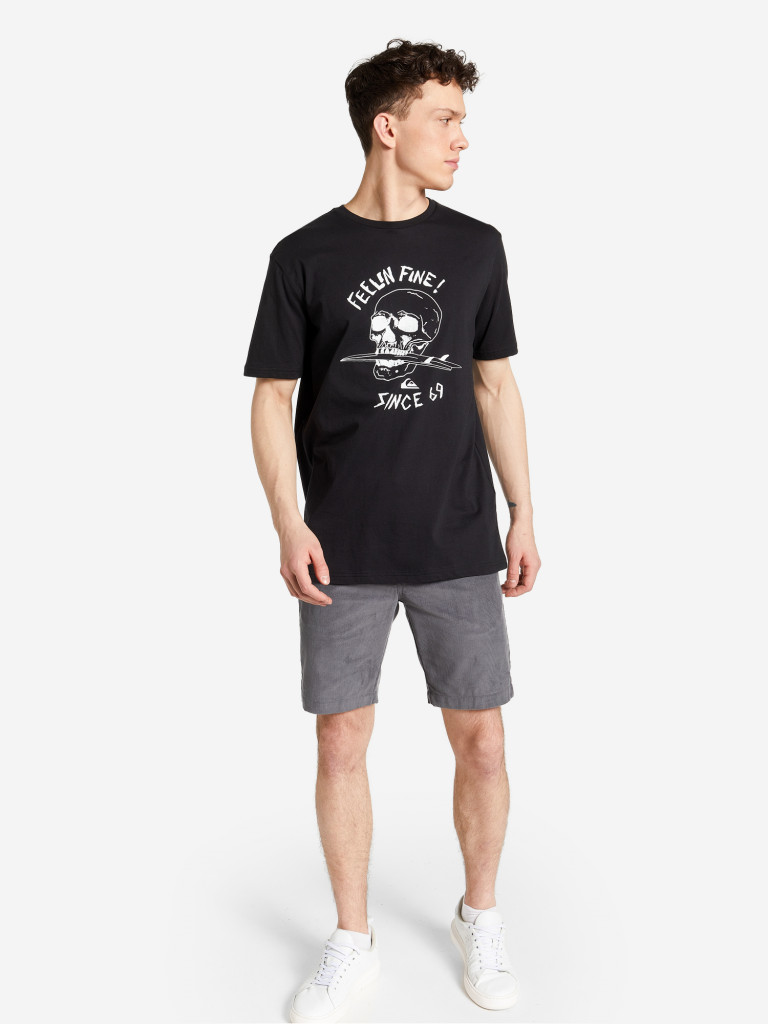 Футболка мужская Quiksilver