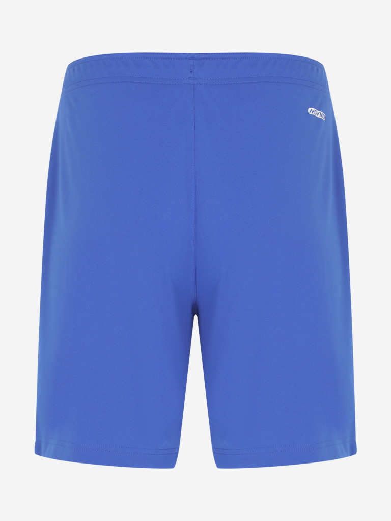 Шорты мужские Demix Legacy