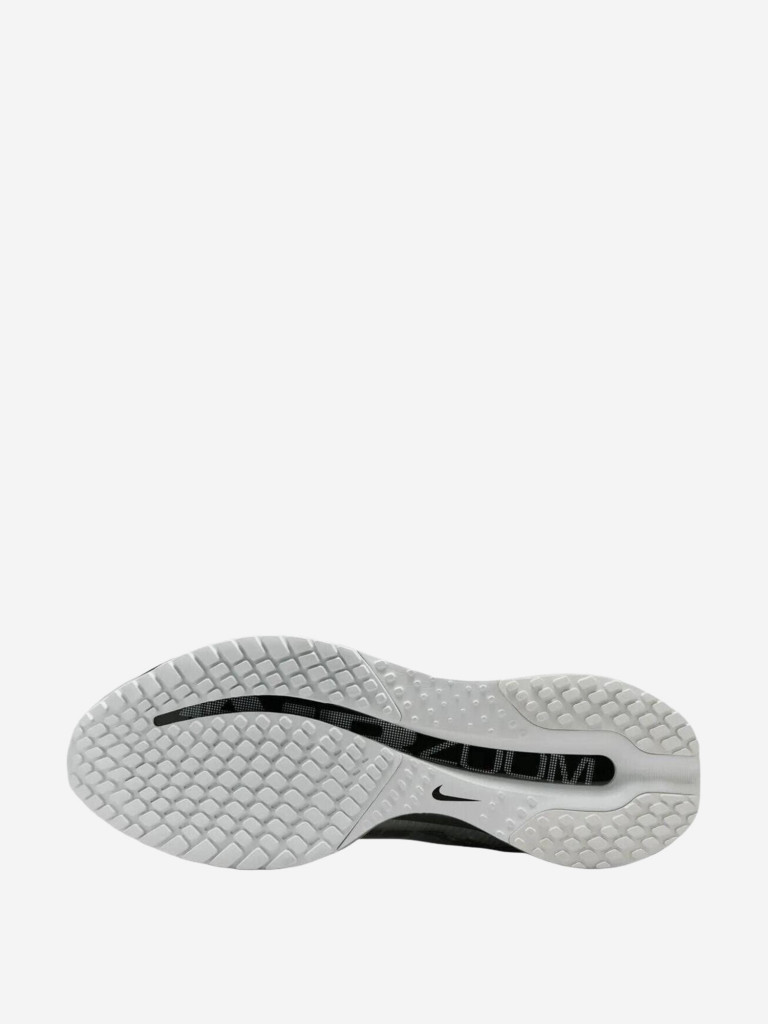 Кроссовки Nike Pegasus Premium
