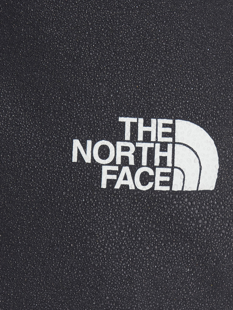 Брюки женские The North Face Speedlight