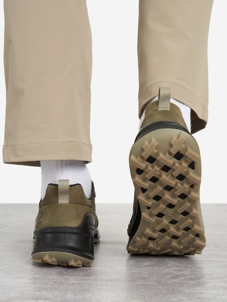 Кроссовки мужские Ecco Biom 2.1 X Mountain