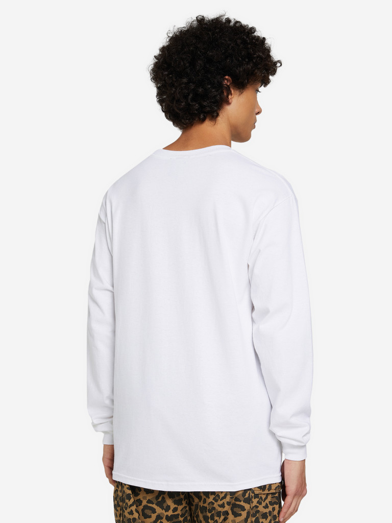 Лонгслив мужской Thrasher Skate Mag