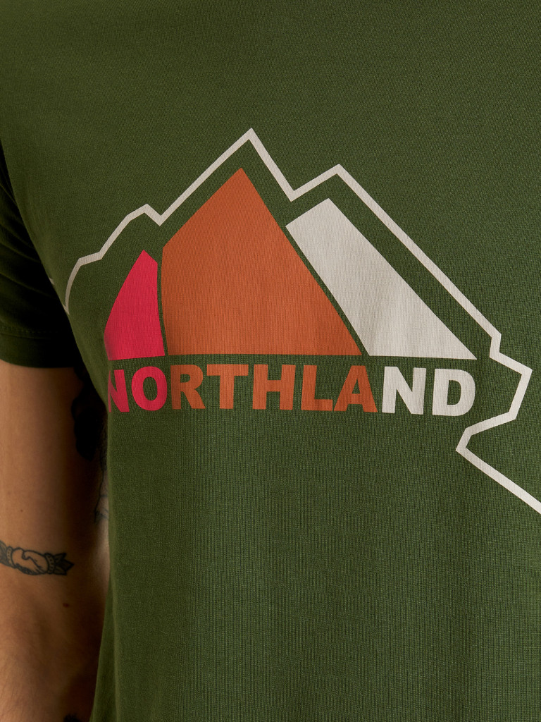Футболка мужская Northland