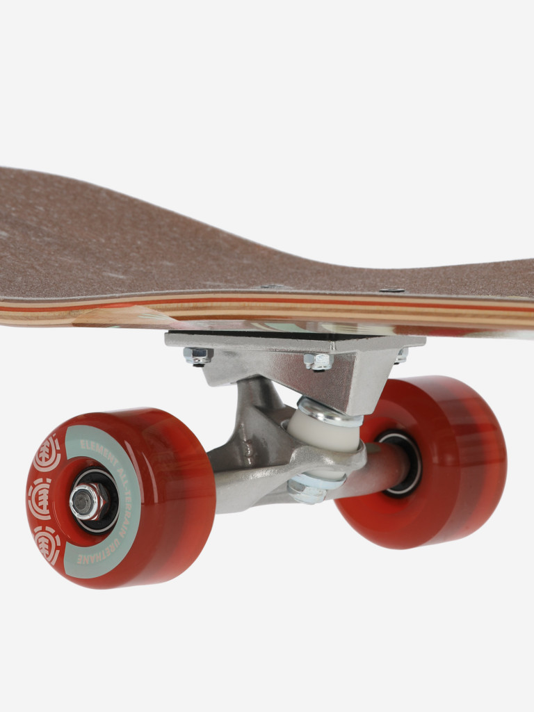 Круизер Element Hatched Cruise 8.75