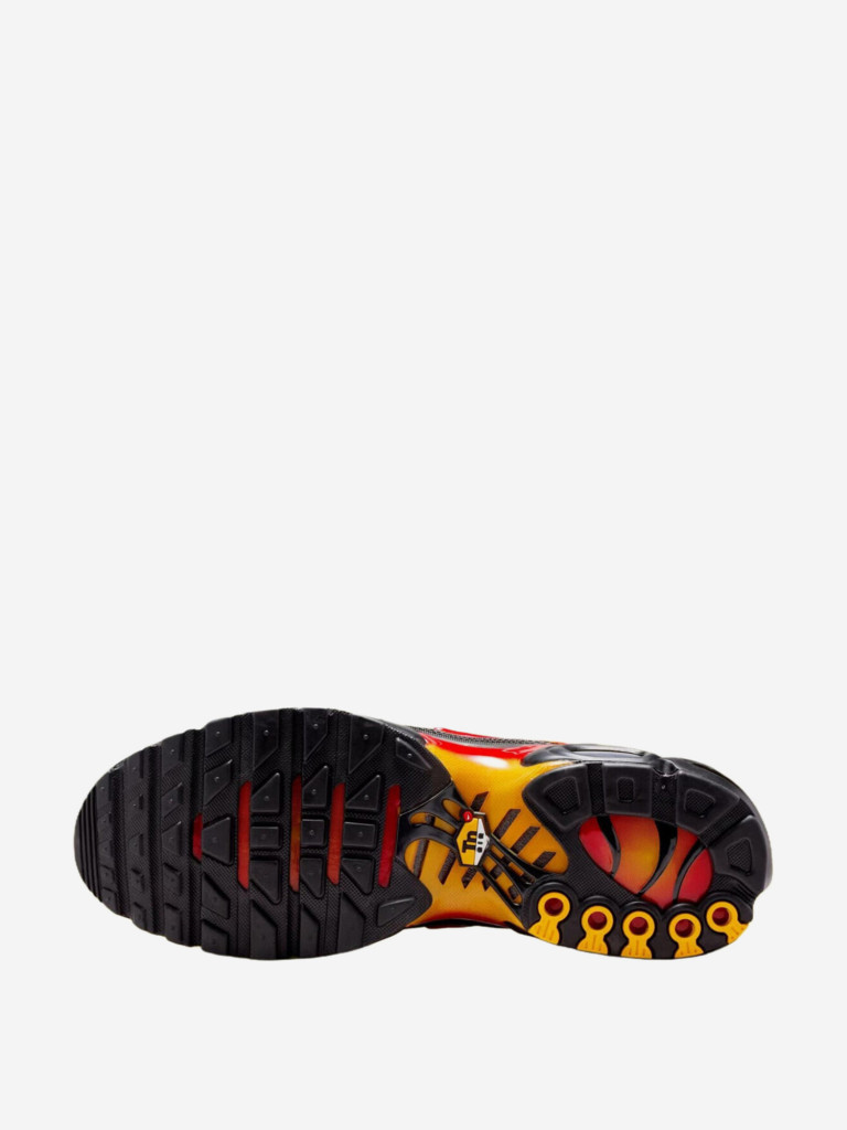 Кроссовки Nike Air Max Plus