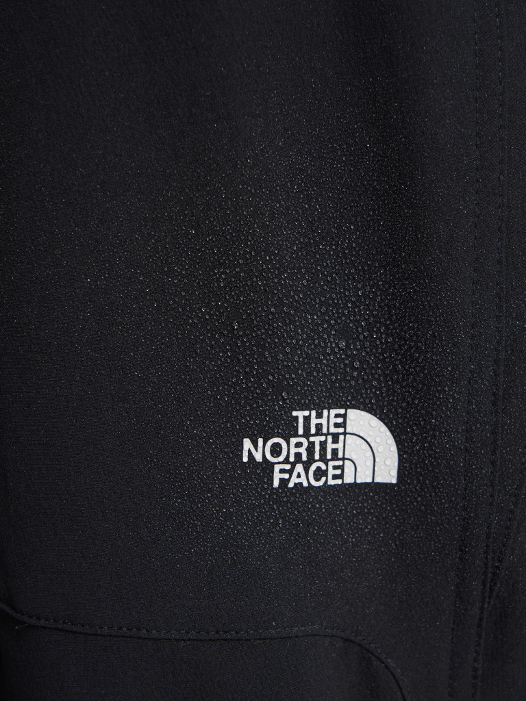 Брюки мужские The North Face Quest