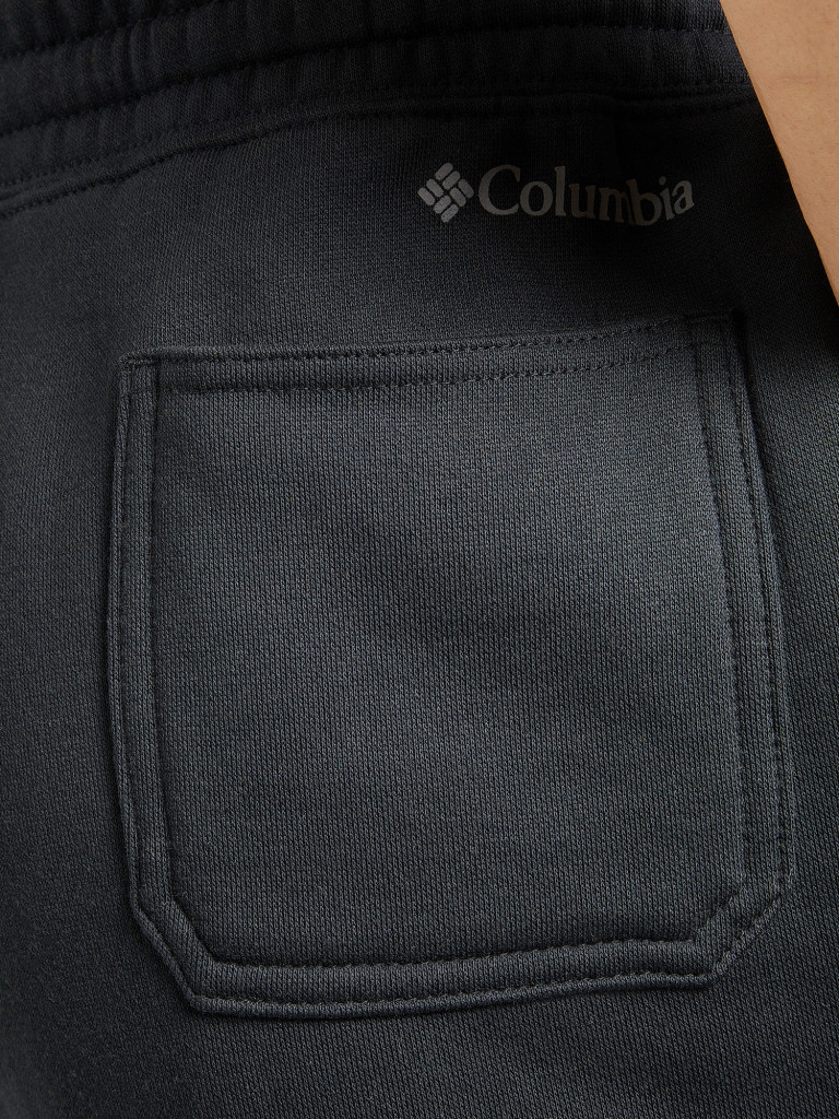 Брюки мужские Columbia Trek Jogger