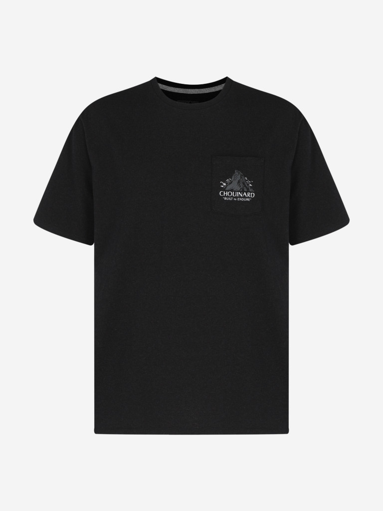 Футболка мужская Patagonia Chouinard Crest