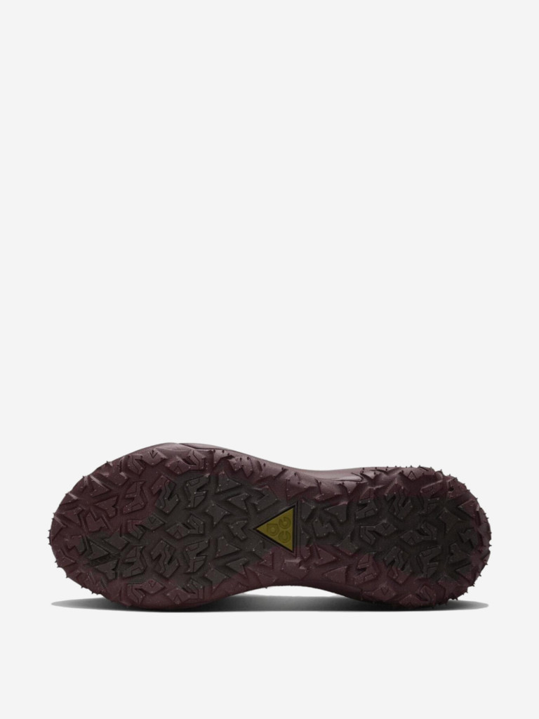 Кроссовки Nike ACG Mountain Fly 2 Low GORE-TEX