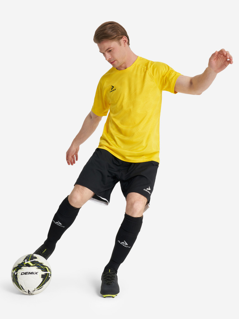 Футболка мужская Demix Winger