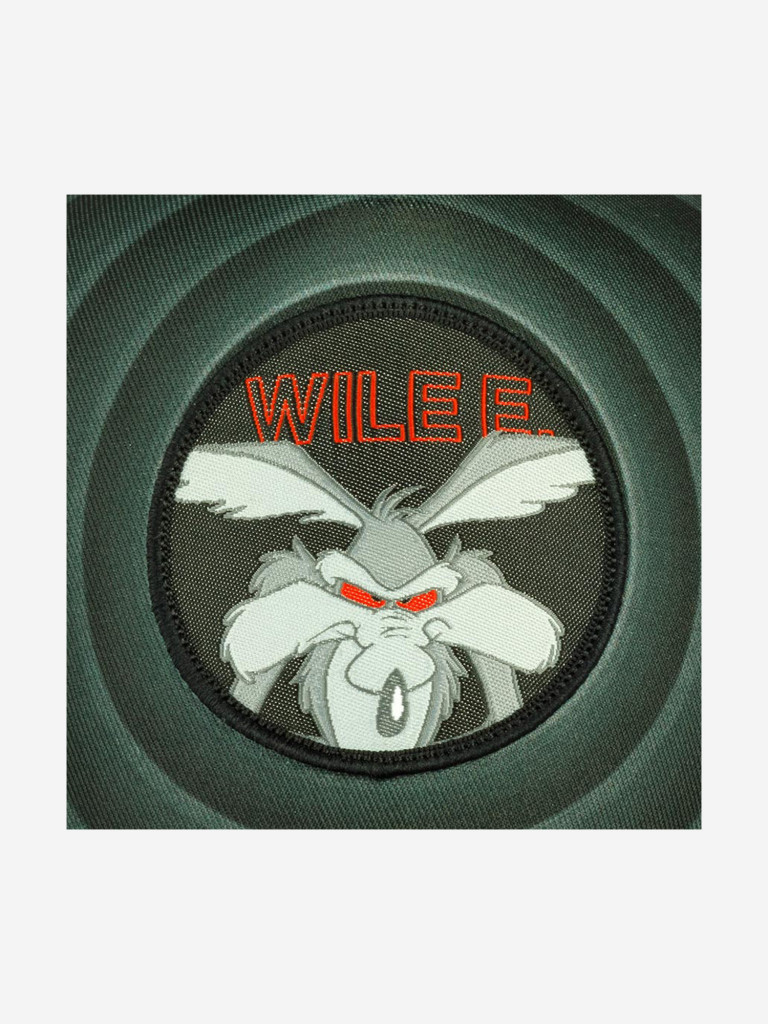 Бейсболка с сеточкой CAPSLAB CL/LOO3/1/WIL2 Looney Tunes Wile E. Coyote (черный)