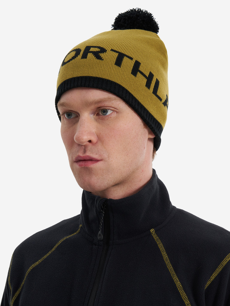 Шапка мужская Northland