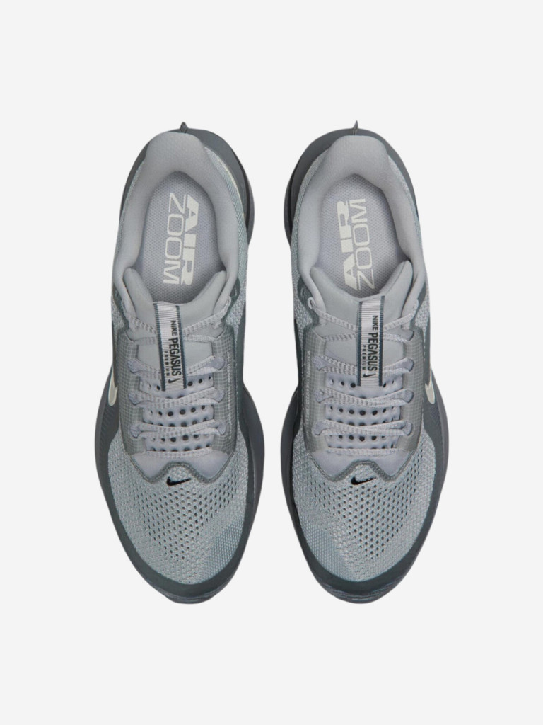 Кроссовки мужские Nike Pegasus Premium
