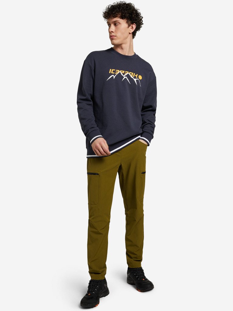 Брюки мужские IcePeak Many