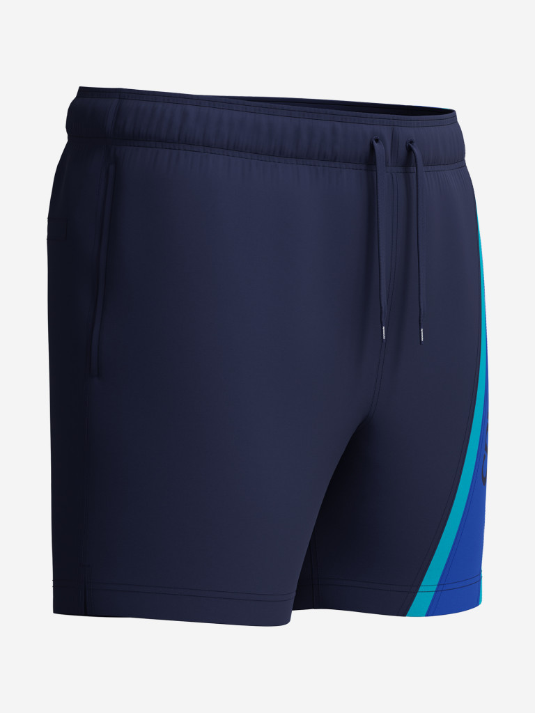 Шорты плавательные мужские Speedo Hyperboom