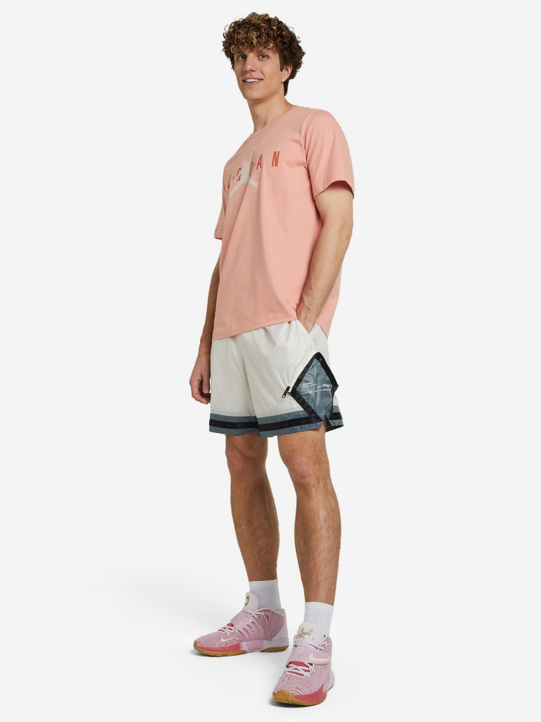 Футболка мужская Nike Jordan Air