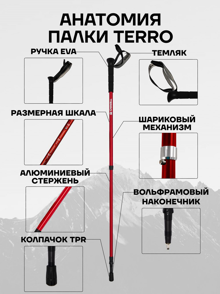 Палки для скандинавской ходьбы - алюминиевые телескопические