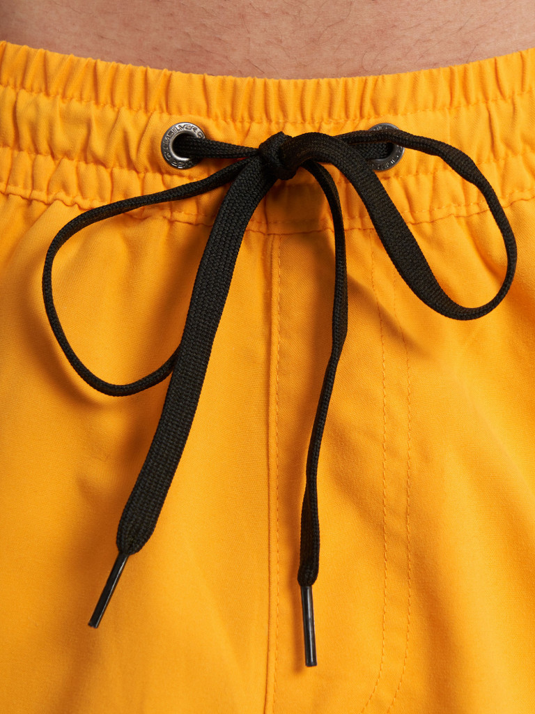 Шорты плавательные мужские Quiksilver Everyday Volley 15