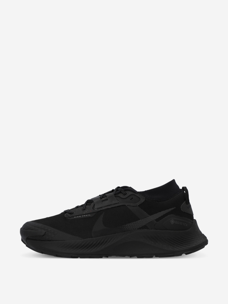 Кроссовки мужские Nike Pegasus Trail Gtx