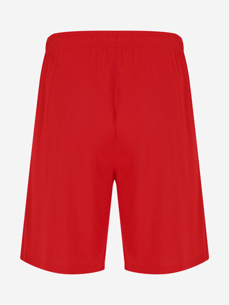 Шорты мужские PUMA teamLIGA