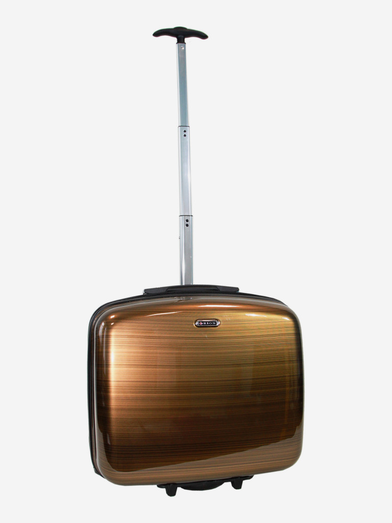 Чемодан RION+ S