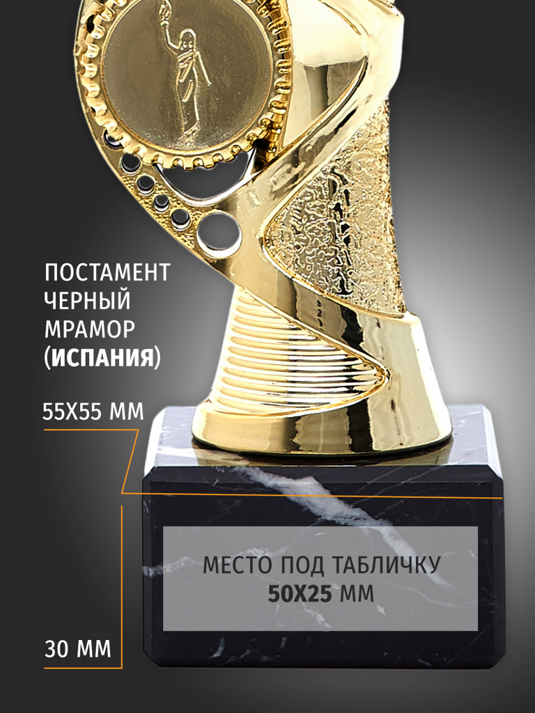 Спортивный кубок для награждения победителя 23 см