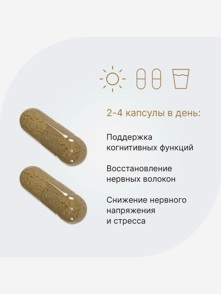 Ежовик гребенчатый 300 мг Evalar Laboratory 60 капсул