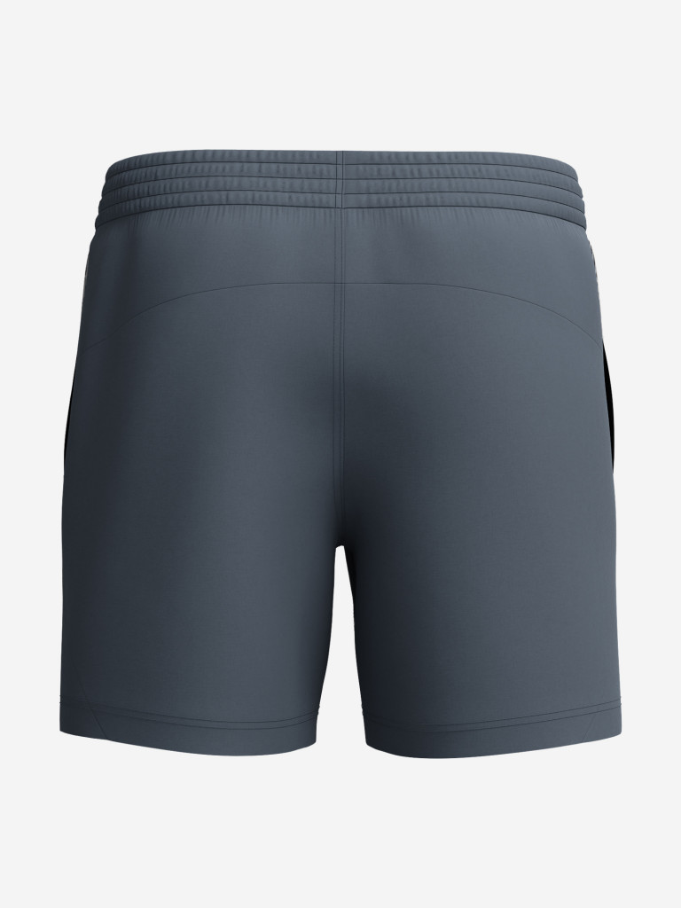 Шорты плавательные мужские Speedo Hyperboom