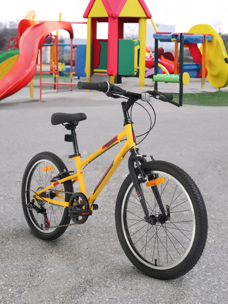 Велосипед для мальчиков Denton Tornado 1.0 20" 2024