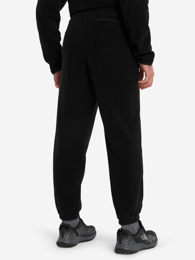 Брюки флисовые мужские The North Face Glacier