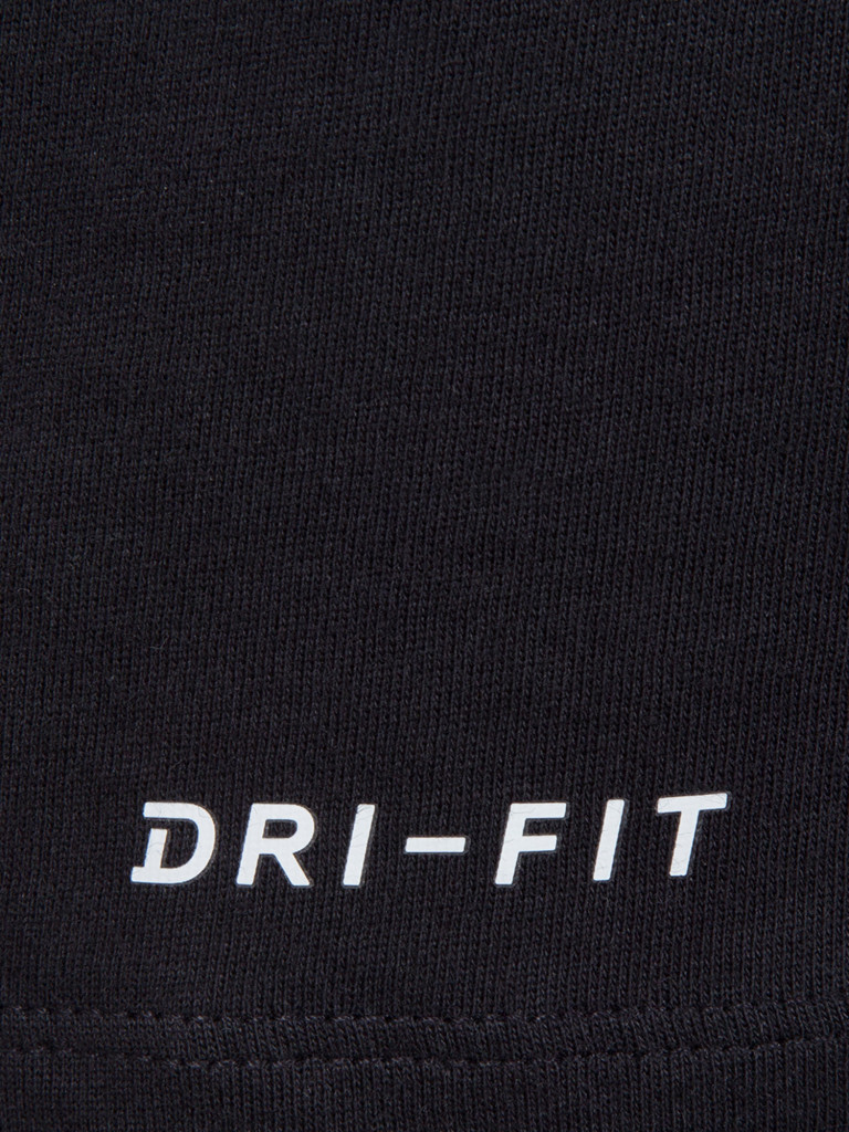 Футболка мужская Nike Dri-FIT