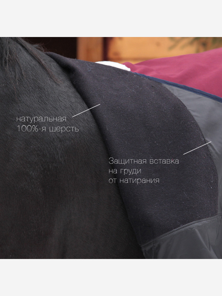 Попона на шерсти Первая Конная Мануфактура WOOL