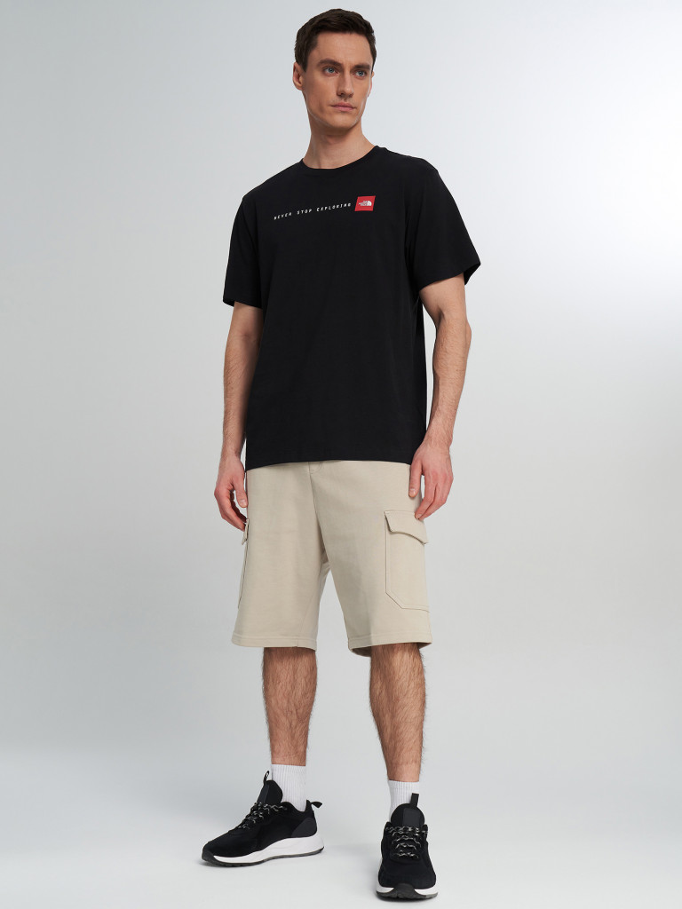 Футболка мужская The North Face Never Stop Exploring