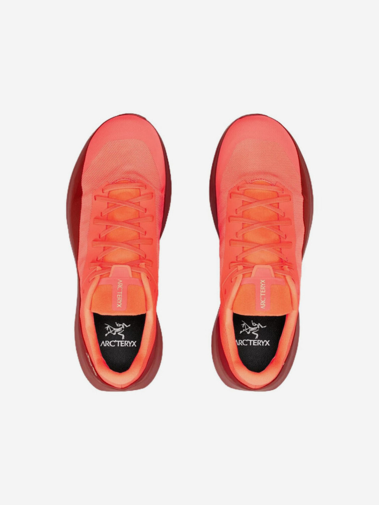 Кроссовки мужские Arc'teryx Norvan LD 4